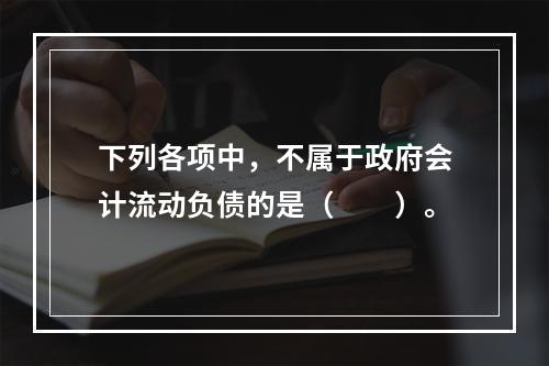 下列各项中，不属于政府会计流动负债的是（　　）。