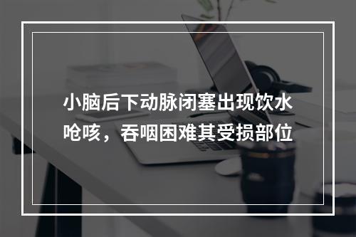 小脑后下动脉闭塞出现饮水呛咳，吞咽困难其受损部位