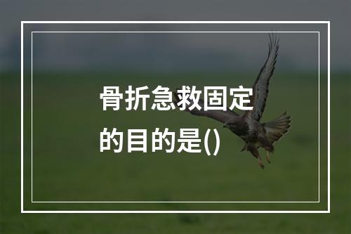 骨折急救固定的目的是()