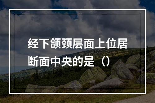 经下颌颈层面上位居断面中央的是（）