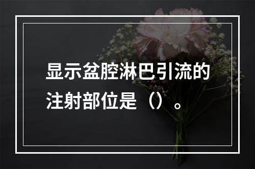 显示盆腔淋巴引流的注射部位是（）。