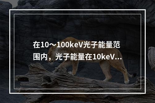 在10～100keV光子能量范围内，光子能量在10keV时光