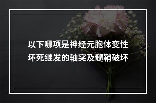 以下哪项是神经元胞体变性坏死继发的轴突及髓鞘破坏