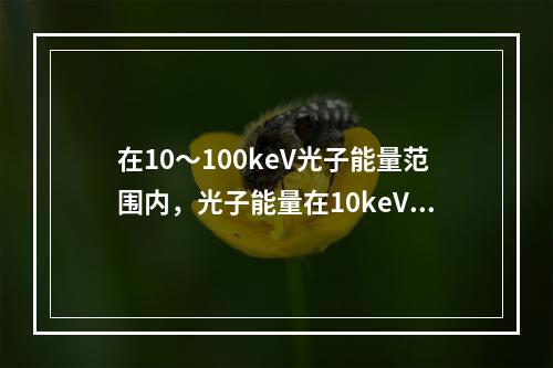 在10～100keV光子能量范围内，光子能量在10keV时光