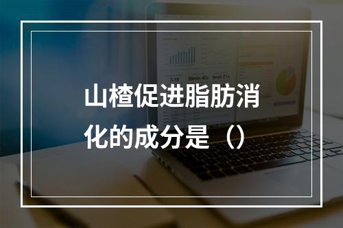 山楂促进脂肪消化的成分是（）