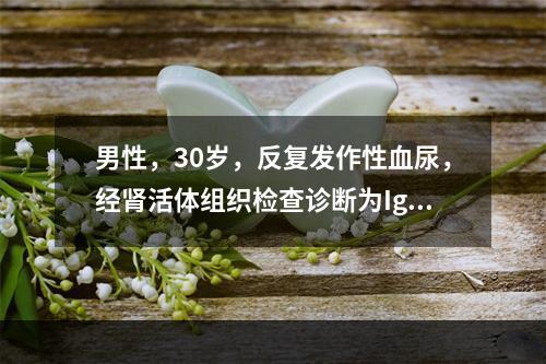 男性，30岁，反复发作性血尿，经肾活体组织检查诊断为IgA肾