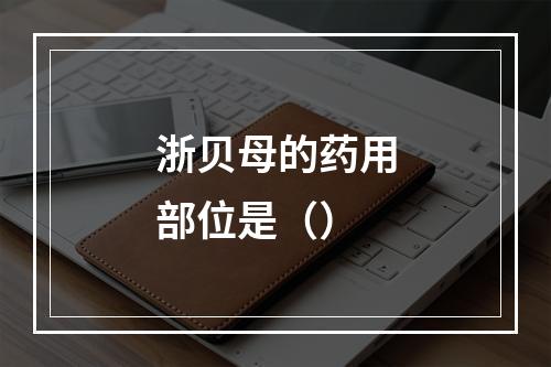 浙贝母的药用部位是（）