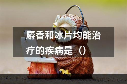 麝香和冰片均能治疗的疾病是（）