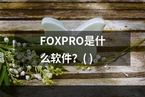 FOXPRO是什么软件？( )