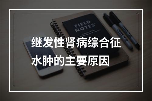 继发性肾病综合征水肿的主要原因