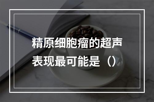 精原细胞瘤的超声表现最可能是（）