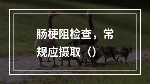 肠梗阻检查，常规应摄取（）