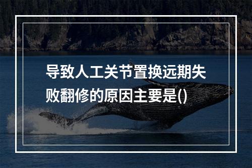 导致人工关节置换远期失败翻修的原因主要是()