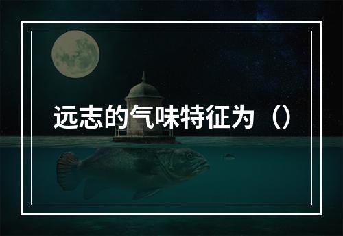 远志的气味特征为（）