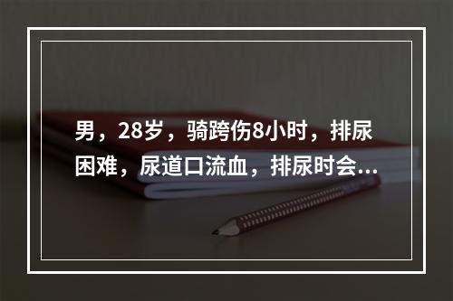 男，28岁，骑跨伤8小时，排尿困难，尿道口流血，排尿时会阴部