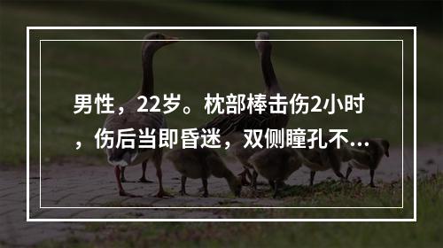 男性，22岁。枕部棒击伤2小时，伤后当即昏迷，双侧瞳孔不等大