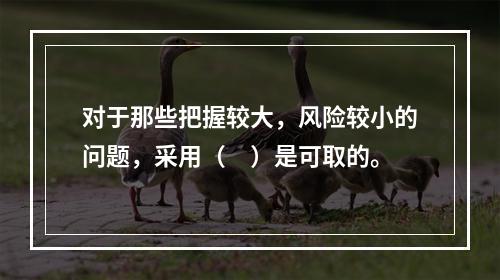 对于那些把握较大，风险较小的问题，采用（　）是可取的。