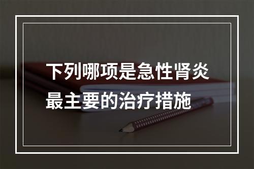 下列哪项是急性肾炎最主要的治疗措施