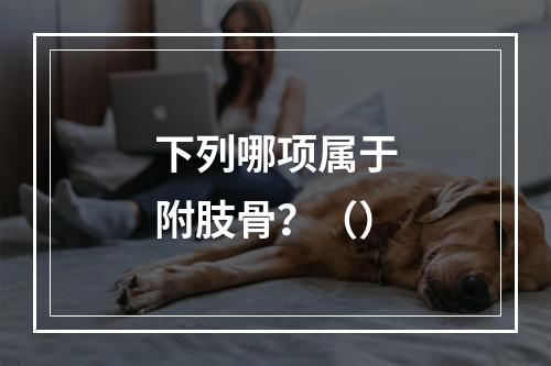 下列哪项属于附肢骨？（）