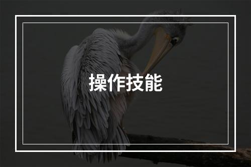 操作技能