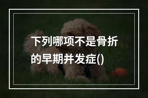 下列哪项不是骨折的早期并发症()