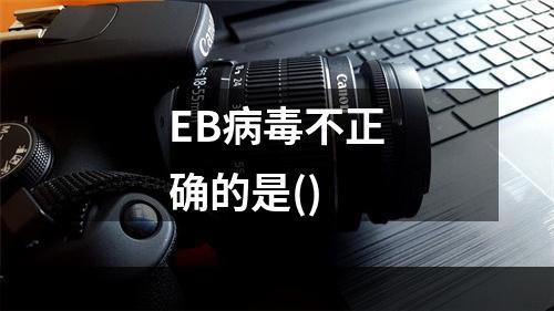 EB病毒不正确的是()