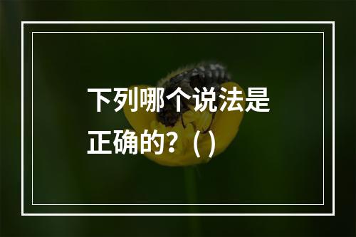 下列哪个说法是正确的？( )