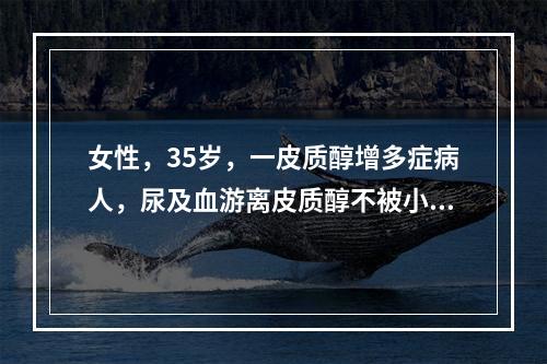 女性，35岁，一皮质醇增多症病人，尿及血游离皮质醇不被小剂量