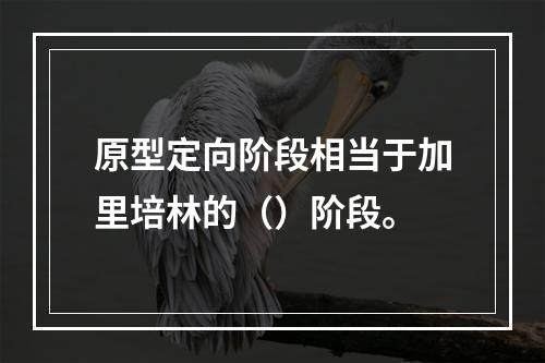 原型定向阶段相当于加里培林的（）阶段。