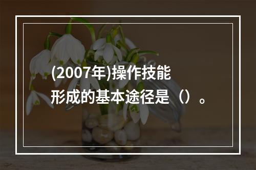 (2007年)操作技能形成的基本途径是（）。