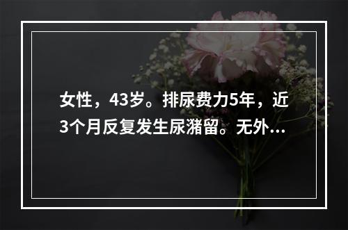 女性，43岁。排尿费力5年，近3个月反复发生尿潴留。无外伤及