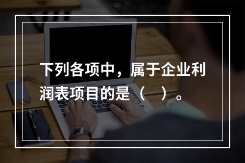 下列各项中，属于企业利润表项目的是（　）。