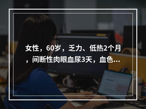 女性，60岁，乏力、低热2个月，间断性肉眼血尿3天，血色素8