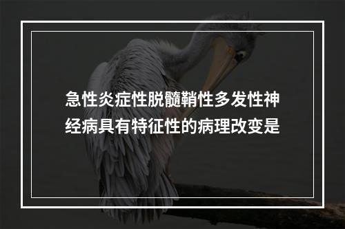 急性炎症性脱髓鞘性多发性神经病具有特征性的病理改变是