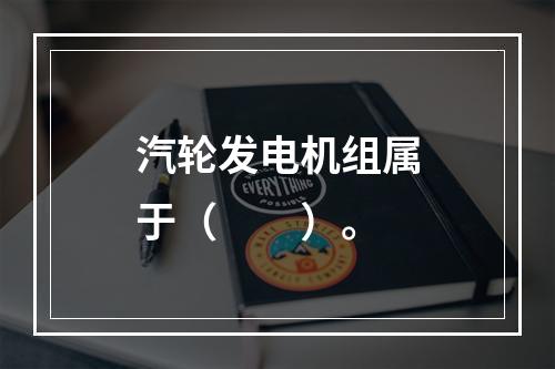 汽轮发电机组属于（　　）。