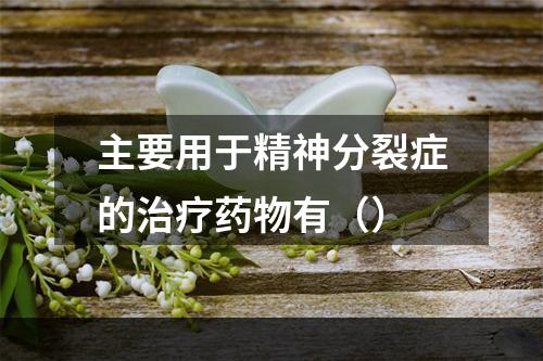 主要用于精神分裂症的治疗药物有（）