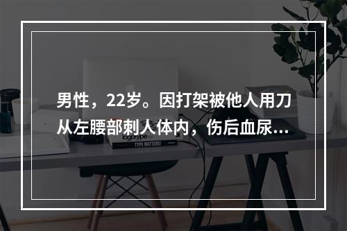 男性，22岁。因打架被他人用刀从左腰部刺人体内，伤后血尿，腹