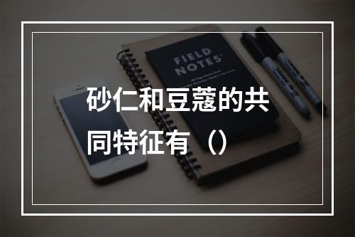 砂仁和豆蔻的共同特征有（）