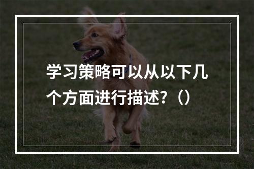 学习策略可以从以下几个方面进行描述?（）