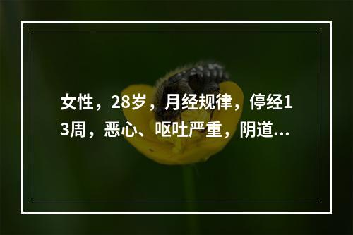 女性，28岁，月经规律，停经13周，恶心、呕吐严重，阴道不规