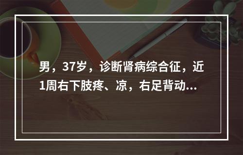 男，37岁，诊断肾病综合征，近1周右下肢疼、凉，右足背动脉搏