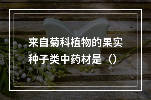 来自菊科植物的果实种子类中药材是（）