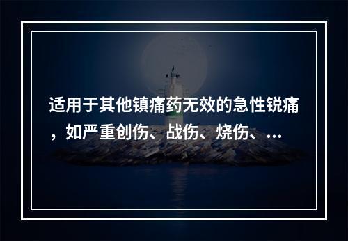 适用于其他镇痛药无效的急性锐痛，如严重创伤、战伤、烧伤、晚期