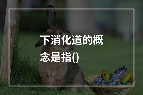 下消化道的概念是指()