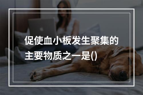 促使血小板发生聚集的主要物质之一是()