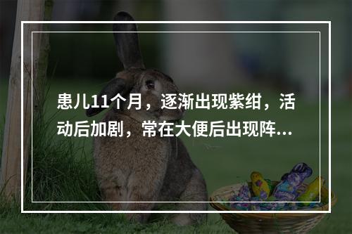 患儿11个月，逐渐出现紫绀，活动后加剧，常在大便后出现阵发性