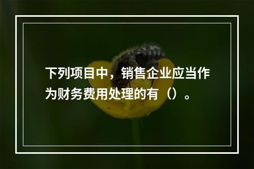 下列项目中，销售企业应当作为财务费用处理的有（）。