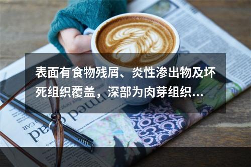 表面有食物残屑、炎性渗出物及坏死组织覆盖，深部为肉芽组织的病