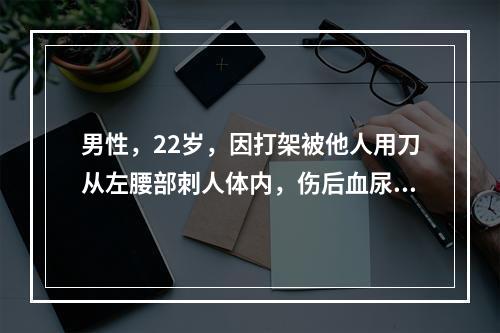 男性，22岁，因打架被他人用刀从左腰部刺人体内，伤后血尿、腹