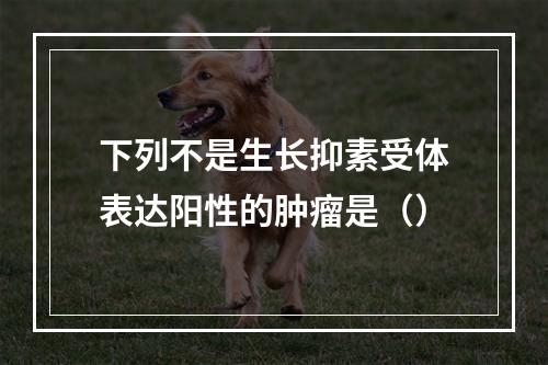 下列不是生长抑素受体表达阳性的肿瘤是（）